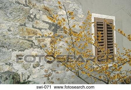 Shuttered Window Lenzburg Switzerland View Large Photo Image Stock Image - Shuttered Window Lenzburg Switzerland. Fotosearch