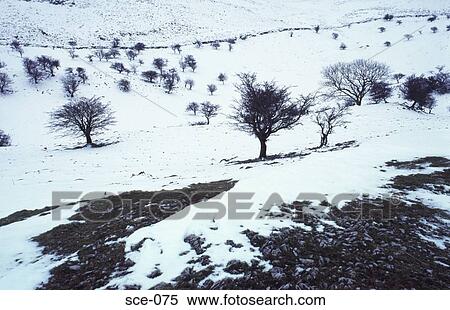 Stock Photography - Snow Covered Hills UK. Fotosearch