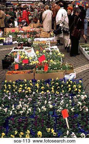 Stock Image - Stall at Flower Market Stockholm Sweden. Fotosearch