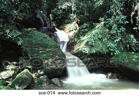 Stream Flowing through Rocks Merida Venezuela View Large Photo Image Picture - Stream Flowing through Rocks Merida Venezuela. Fotosearch