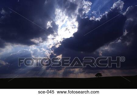 Sunburst View Large Photo Image Stock Photography - Sunburst. Fotosearch