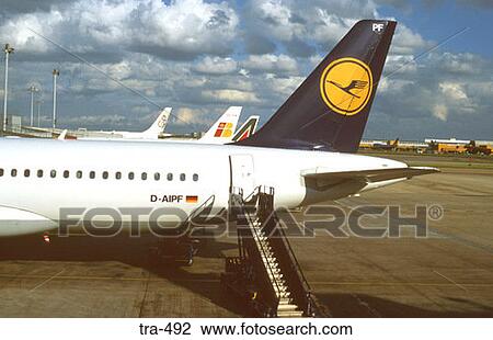Tail of Lufthansa Jet Airliner at Airport View Large Photo Image Stock Image - Tail of Lufthansa Jet Airliner at Airport. Fotosearch