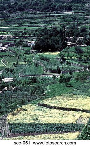 Stock Image - Terraced Rice Fields. Fotosearch