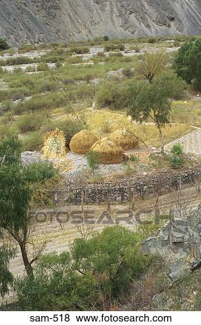 Thatched Huts Patagonia Argentina View Large Photo Image Stock Photo - Thatched Huts Patagonia Argentina. Fotosearch
