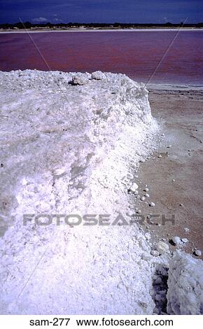 Stock Photo - Thick Salt Deposits by Salt Pool Venezuela. Fotosearch