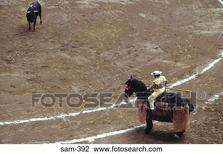 Torero on Horseback in Bullring Quito Ecuador View Large Photo Image Stock Image - Torero on Horseback in Bullring Quito Ecuador. Fotosearch