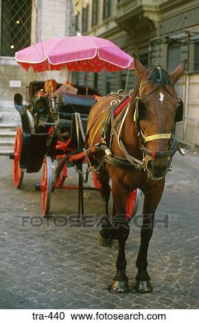 Tourist Carriage in Rome View Large Photo Image Stock Image - Tourist Carriage in Rome. Fotosearch