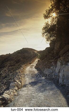 Picture - Track Jebel Tebaga Tunisia. Fotosearch