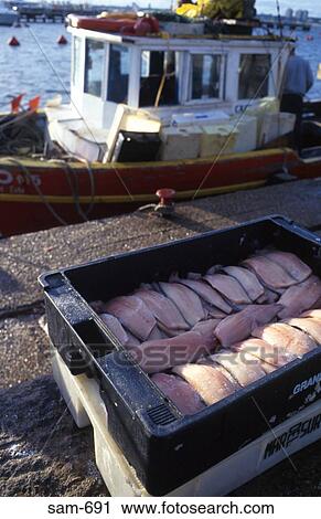 Trawler and Boxed Fish Punta del Este Uruguay View Large Photo Image Stock Image - Trawler and Boxed Fish Punta del Este Uruguay. Fotosearch