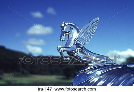Winged Horse Emblem on Front of old Car View Large Photo Image Stock Photo - Winged Horse Emblem on Front of old Car. Fotosearch