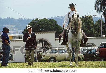 Woman Riding a Horse Quito Ecuador View Large Photo Image Stock Photograph - Woman Riding a Horse Quito Ecuador. Fotosearch