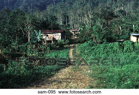 Wooden Shack Ecuador View Large Photo Image Stock Photography - Wooden Shack Ecuador. Fotosearch