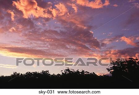 Yellow Highlighted Clouds in the Sky at Sunset View Large Photo Image Stock Image - Yellow Highlighted Clouds in the Sky at Sunset. Fotosearch