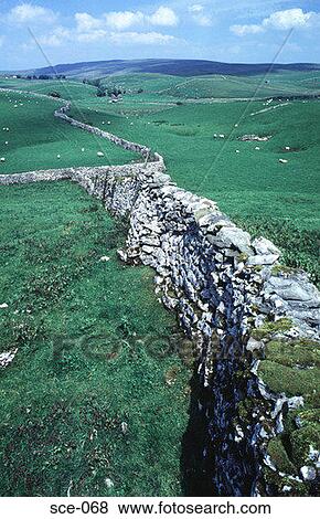 Yorkshire Stone Walled Field UK View Large Photo Image Stock Photo - Yorkshire Stone Walled Field UK. Fotosearch