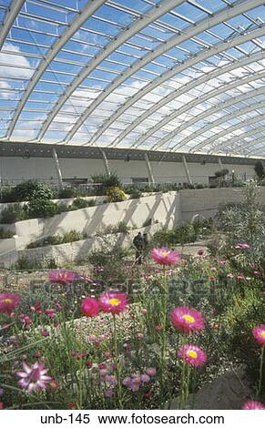内部 の 偉人 ガラス工場 国民 植物園 ウェールズ イギリス ストックフォト 写真素材 Unb 145 Fotosearch