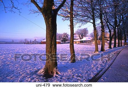 Avenue at Loughor Park Wales View Large Photo Image Stock Photo - Avenue at Loughor Park Wales. Fotosearch