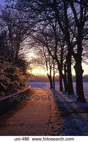 Avenue at Sunset Loughor Park Wales UK View Large Photo Image Stock Photograph - Avenue at Sunset Loughor Park Wales UK. Fotosearch