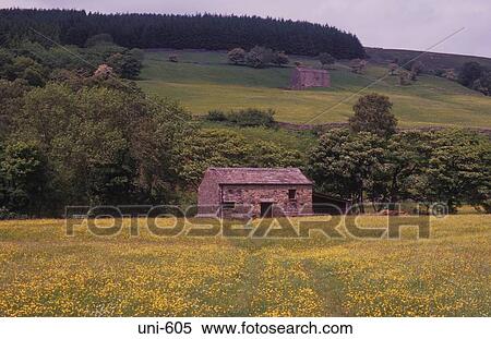 Barn in Meadow Garsdale UK View Large Photo Image Stock Photography - Barn in Meadow Garsdale UK. Fotosearch