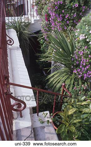 Basement Garden in English Town House View Large Photo Image Stock Photo - Basement Garden in English Town House. Fotosearch