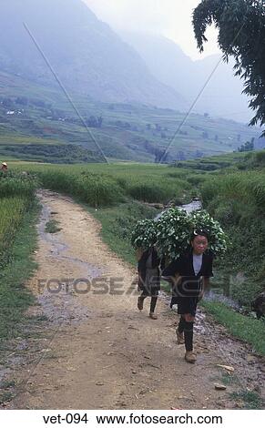 Black H'mong Women Carrying Crops Vietnam View Large Photo Image Picture - Black H'mong Women Carrying Crops Vietnam. Fotosearch