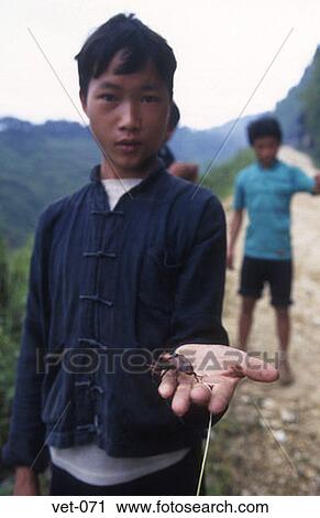 Stock Image - Boy Holding Beetle Vietnam. Fotosearch