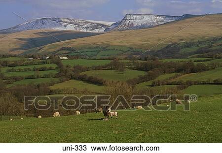 Brecon Beacons Landscape Wales UK View Large Photo Image Stock Image - Brecon Beacons Landscape Wales UK. Fotosearch