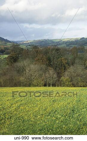 Brecon Beacons Wales UK View Large Photo Image Stock Image - Brecon Beacons Wales UK. Fotosearch