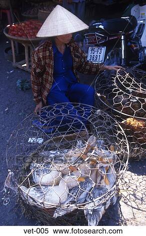 Caged Ducks Dong Ba Market Hue Vietnam Asia View Large Photo Image Stock Photography - Caged Ducks Dong Ba Market Hue Vietnam Asia. Fotosearch