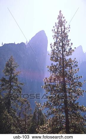 Cathedral Rocks through Wood Yosemite California USA View Large Photo Image Stock Image - Cathedral Rocks through Wood Yosemite California USA. Fotosearch