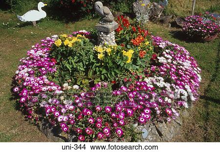 Circular Flower Bed UK View Large Photo Image Picture - Circular Flower Bed UK. Fotosearch