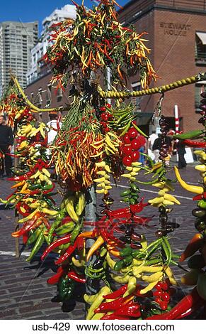 Colorful Dried Chillies at Public Market Seattle USA View Large Photo Image Stock Photo - Colorful Dried Chillies at Public Market Seattle USA. Fotosearch