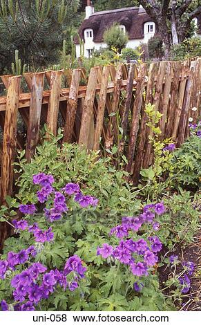 Cottage and Garden Scotland View Large Photo Image Stock Photo - Cottage and Garden Scotland. Fotosearch