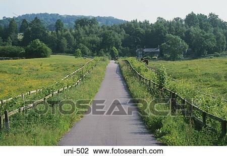 Country Lane in Lake District UK View Large Photo Image Stock Image - Country Lane in Lake District UK. Fotosearch