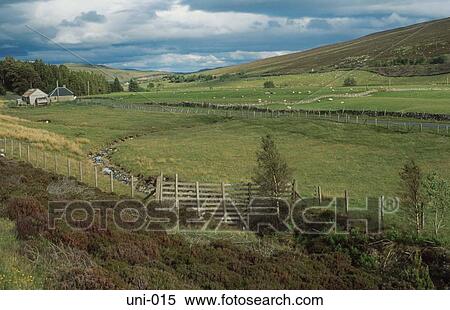 Farm and Meadows in Lowland Scotland View Large Photo Image Stock Photography - Farm and Meadows in Lowland Scotland. Fotosearch