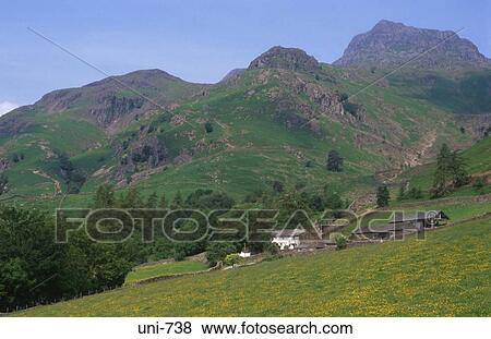 Farm and Mountain Beyond Lake District UK View Large Photo Image Stock Photo - Farm and Mountain Beyond Lake District UK. Fotosearch