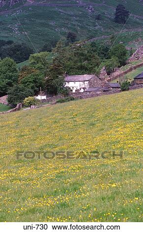Farm Buildings in Meadow Lake District UK View Large Photo Image Stock Image - Farm Buildings in Meadow Lake District UK. Fotosearch