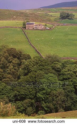 Farm Buildings in Rural Landscape UK View Large Photo Image Stock Photo - Farm Buildings in Rural Landscape UK. Fotosearch