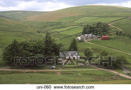 Farm Buildings on Scottish Uplands UK View Large Photo Image Stock Image - Farm Buildings on Scottish Uplands UK. Fotosearch