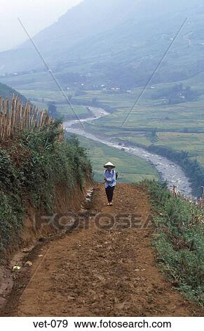 Farmer on Track Sapa Vietnam View Large Photo Image Stock Photo - Farmer on Track Sapa Vietnam. Fotosearch