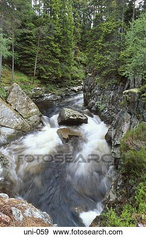 Fast Flowing Stream in Scottish Forest View Large Photo Image Stock Photo - Fast Flowing Stream in Scottish Forest. Fotosearch