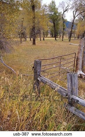 Fence in Woodland Rural Montana USA View Large Photo Image Stock Photo - Fence in Woodland Rural Montana USA. Fotosearch