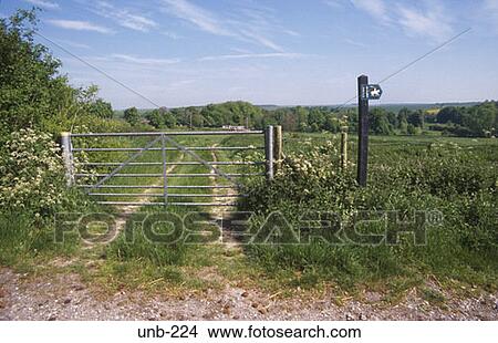 Field Gate and Bridal Path Sign Wiltshire UK View Large Photo Image Picture - Field Gate and Bridal Path Sign Wiltshire UK. Fotosearch