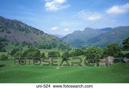 Picture - Fields and Mountains Lake District UK. Fotosearch