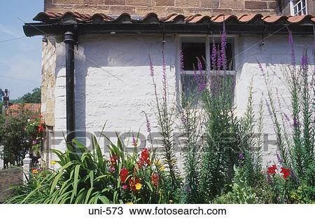 Stock Image - Flowers by Window of Cottage UK. Fotosearch