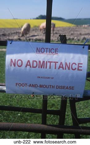 Foot and Mouth Restriction Sign Wiltshire UK View Large Photo Image Stock Image - Foot and Mouth Restriction Sign Wiltshire UK. Fotosearch
