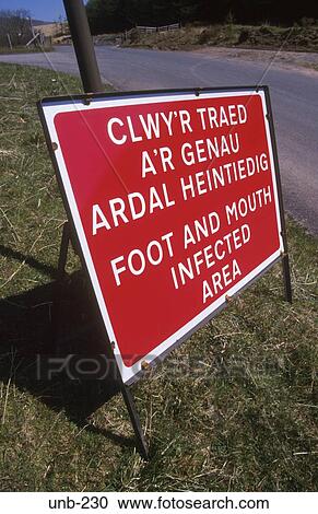 Foot and Mouth Sign Brecon Beacons Wales UK View Large Photo Image Stock Image - Foot and Mouth Sign Brecon Beacons Wales UK. Fotosearch