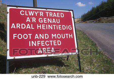 Foot and Mouth Sign Brecon Beacons Wales UK View Large Photo Image Stock Photo - Foot and Mouth Sign Brecon Beacons Wales UK. Fotosearch