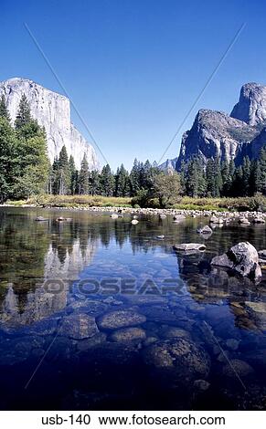Forest in Quiet Wooded Valley Yosemite USA View Large Photo Image Stock Image - Forest in Quiet Wooded Valley Yosemite USA. Fotosearch