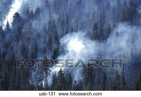 Stock Image - Forest Smoking From Fire Yosemite National Park USA. Fotosearch