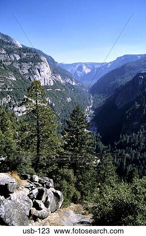 Stock Image - Forested Gorge Yosemite National Park USA. Fotosearch